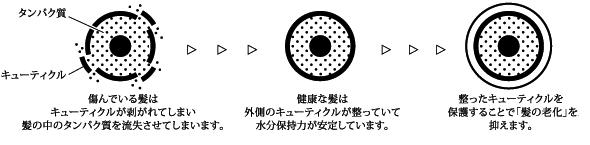 プラチナコラーゲンの保湿機能。