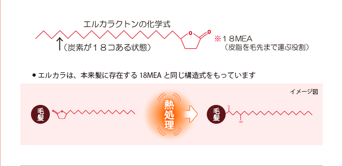 エルカラクトンの化学式