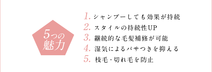 5つの魅力　1.シャンプーしても効果が持続　2.スタイルの持続性UP　3.スタイルの持続性UP　4.スタイルの持続性UP　5.枝毛・切れ毛を防止